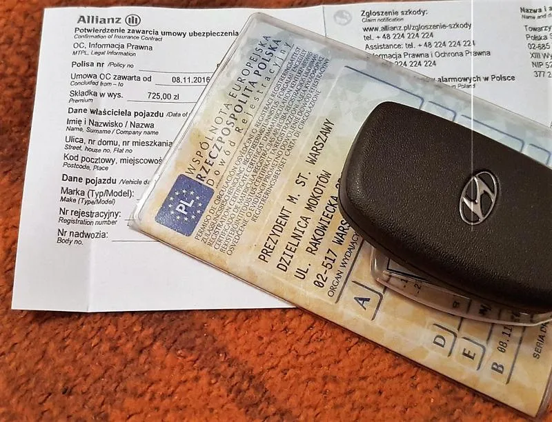Prawo jazdy i dowód rejestracyjny ubezpieczenie